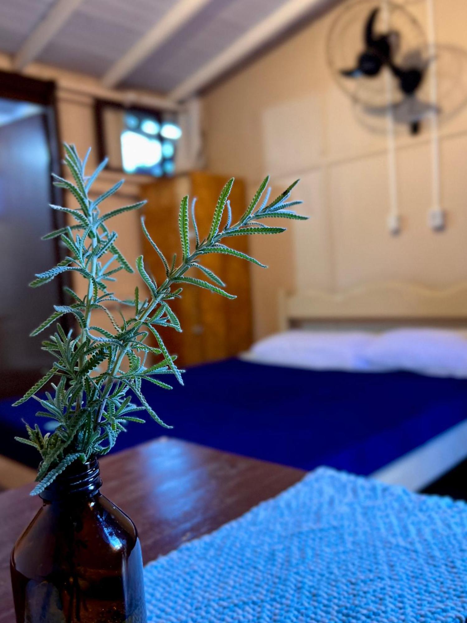 Hostel Antonio Pescador - Centro Da Гуарда-ду-Эмбау Номер фото